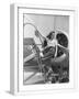 White Frame