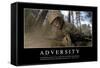 Adversity: Inspirational Quote and Motivational Poster-null-Framed Stretched Canvas