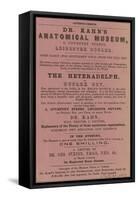 Advert for Dr Kahn's Anatomical Museum-null-Framed Stretched Canvas