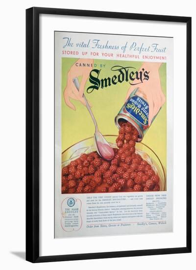 Advert for Smedley's Tinned Fruit, 1936-null-Framed Giclee Print