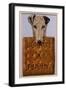 Advert for Spratts Dog Biscuits-null-Framed Art Print
