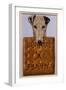 Advert for Spratts Dog Biscuits-null-Framed Art Print