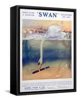 Advert for Swan Fountain Pens, C1906-null-Framed Stretched Canvas