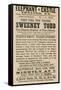 Advert for Sweeney Todd the Demon Barber of Fleet Street-null-Framed Stretched Canvas