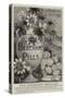 Advertisement, Beecham's Pills-null-Stretched Canvas