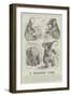 Advertisement, Beecham's Pills-null-Framed Giclee Print