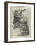 Advertisement, Beecham's Pills-null-Framed Giclee Print