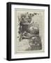 Advertisement, Beecham's Pills-null-Framed Giclee Print