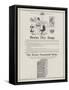 Advertisement, Borax Dry Soap-null-Framed Stretched Canvas