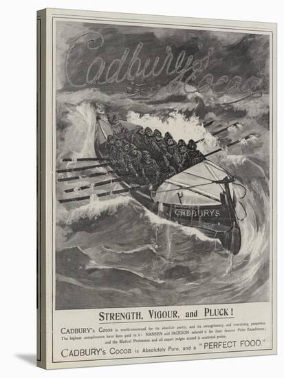 Advertisement, Cadbury's Cocoa-null-Stretched Canvas