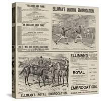 Advertisement, Elliman's Embrocation-null-Stretched Canvas