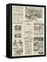 Advertisement, Elliman's Royal Embrocation-null-Framed Stretched Canvas