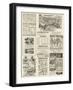 Advertisement, Elliman's Royal Embrocation-null-Framed Giclee Print