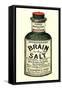 Advertisement for 'Brain Salt', 1890s-null-Framed Stretched Canvas