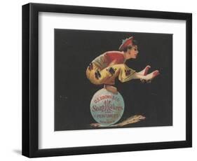 Advertisement for D. S. Brown and Co. Soap Makers and Perfumers, New York, C.1880-American School-Framed Giclee Print