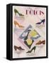 Advertisement for Dolcis Shoes-null-Framed Stretched Canvas