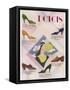 Advertisement for Dolcis Shoes-null-Framed Stretched Canvas