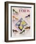 Advertisement for Dolcis Shoes-null-Framed Photographic Print