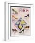 Advertisement for Dolcis Shoes-null-Framed Photographic Print