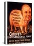 Advertisement for 'Grove's Tasteless Chill Tonic', 1890s-null-Stretched Canvas