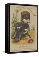 Advertisement for J. D. Larkin and Co's 'Boraxine', 1882-American School-Framed Stretched Canvas