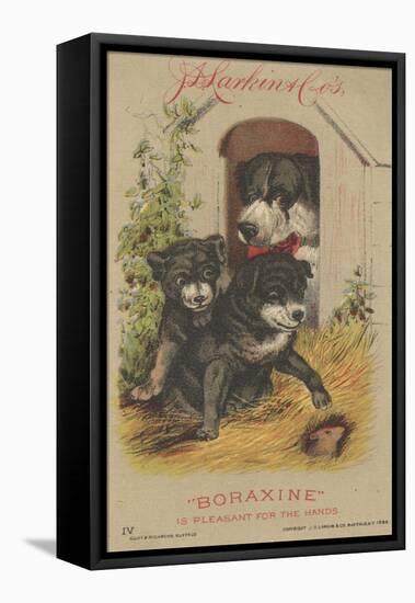 Advertisement for J. D. Larkin and Co's 'Boraxine', 1882-American School-Framed Stretched Canvas