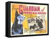 Advertisement for Mexican Rescue Dog Movie-null-Framed Stretched Canvas