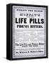 Advertisement for 'Moffat's Vegetable Life Pills and Phoenix Bitters', C.1860-null-Framed Stretched Canvas