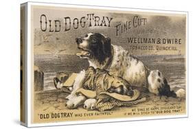 Advertisement for Old Dog Tray-null-Stretched Canvas