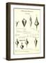 Advertisement for Plumb Bobs-null-Framed Art Print