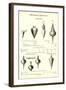 Advertisement for Plumb Bobs-null-Framed Art Print