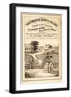 Advertisement for Southerner Rights Segars, Pub. C.1859-null-Framed Giclee Print