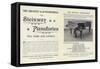 Advertisement for Steinway Pianos-null-Framed Stretched Canvas