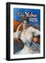 Advertisement for the Book the Yoke, by Hubert Wales, 1908-1909-null-Framed Giclee Print