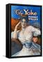 Advertisement for the Book the Yoke, by Hubert Wales, 1908-1909-null-Framed Stretched Canvas