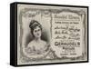 Advertisement, Geraudel's Pastilles-null-Framed Stretched Canvas