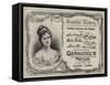 Advertisement, Geraudel's Pastilles-null-Framed Stretched Canvas