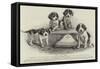 Advertisement, Hudson's Soap-null-Framed Stretched Canvas