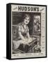 Advertisement, Hudson's Soap-null-Framed Stretched Canvas