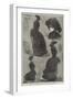 Advertisement, International Fur Store-Georges Labadie Pilotell-Framed Giclee Print