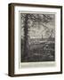 Advertisement, Joynson's Paper Mills-null-Framed Giclee Print