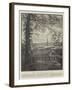 Advertisement, Joynson's Paper Mills-null-Framed Giclee Print