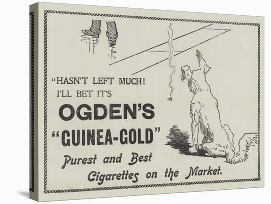 Advertisement, Ogden's Guinea-Gold Cigarettes-null-Stretched Canvas