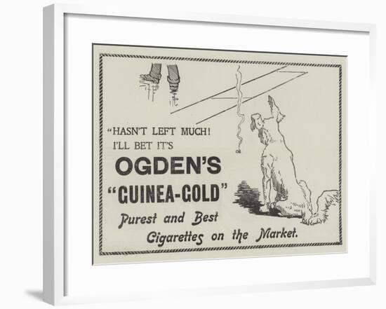 Advertisement, Ogden's Guinea-Gold Cigarettes-null-Framed Giclee Print