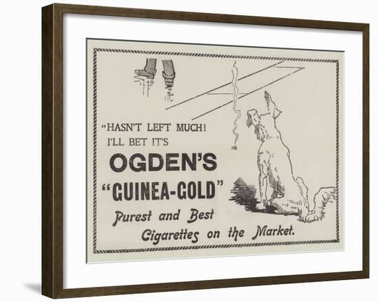 Advertisement, Ogden's Guinea-Gold Cigarettes-null-Framed Giclee Print