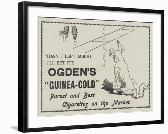 Advertisement, Ogden's Guinea-Gold Cigarettes-null-Framed Giclee Print