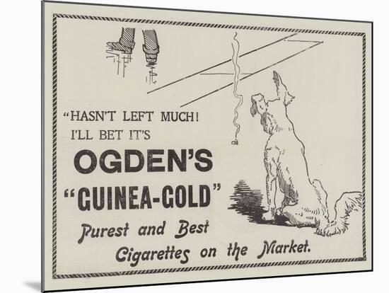 Advertisement, Ogden's Guinea-Gold Cigarettes-null-Mounted Giclee Print