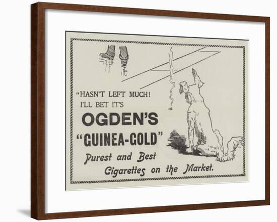 Advertisement, Ogden's Guinea-Gold Cigarettes-null-Framed Giclee Print