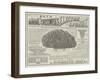 Advertisement, Randal Cresswell's Electric Sponge-null-Framed Giclee Print