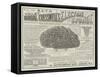 Advertisement, Randal Cresswell's Electric Sponge-null-Framed Stretched Canvas